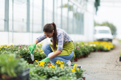Overview of Maida Vale's temperate climate for gardening