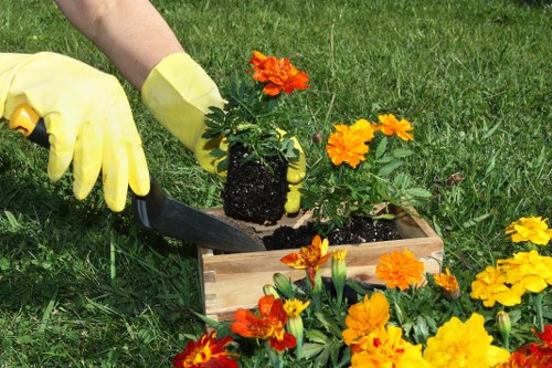 Gardening supervisor preparing remedial work after a complaint