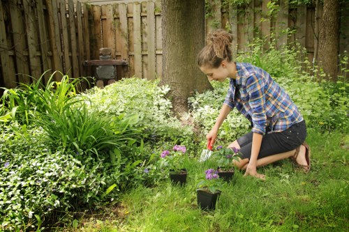 Garden clearance tools and wheelbarrow on pavement